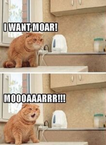 2025-12-16-07-35-08-1765870508884