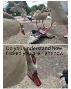 2026-03-19-12-01-39-1773878499316